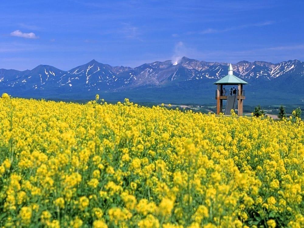 La Vista Furano Hills Natural Hot Spring Exterior foto